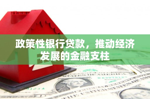 进贤政策性银行贷款，推动经济发展的金融支柱