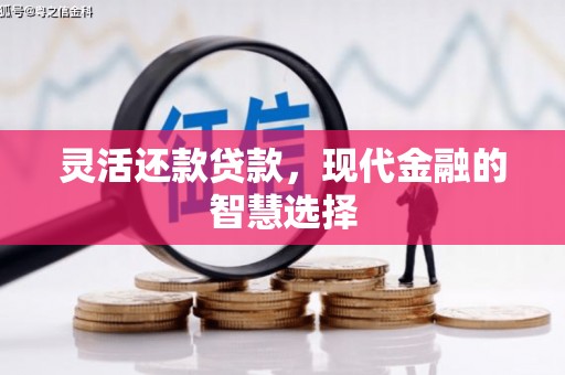 进贤灵活还款贷款，现代金融的智慧选择