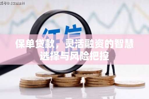 进贤保单贷款，灵活融资的智慧选择与风险把控