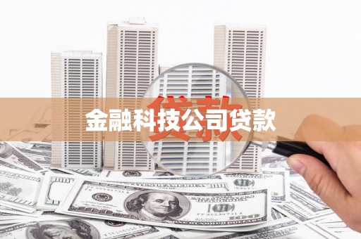 进贤金融科技公司贷款