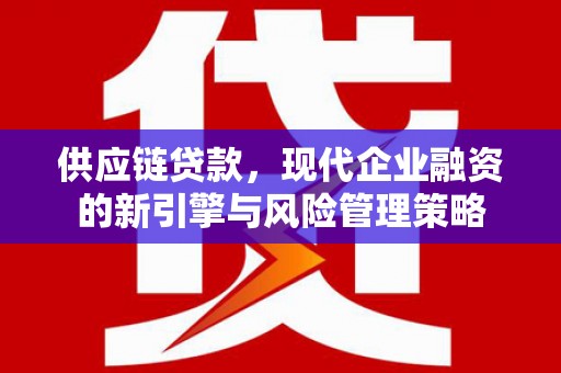 进贤供应链贷款，现代企业融资的新引擎与风险管理策略