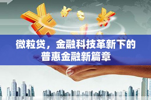 进贤微粒贷，金融科技革新下的普惠金融新篇章