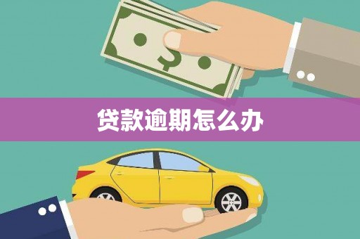 进贤贷款逾期怎么办