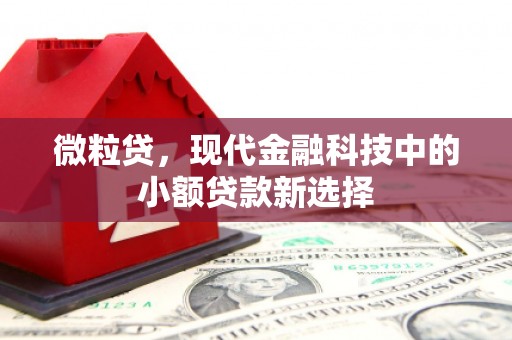 进贤微粒贷，现代金融科技中的小额贷款新选择