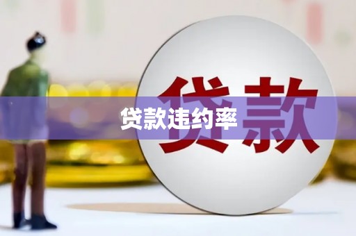 进贤贷款违约率