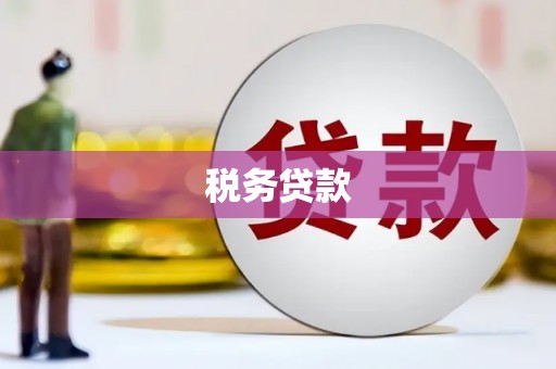 进贤税务贷款