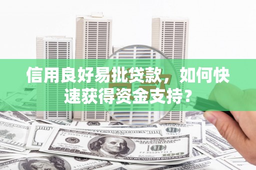 进贤信用良好易批贷款，如何快速获得资金支持？