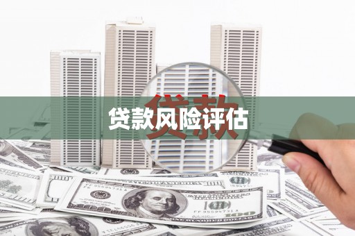 进贤贷款风险评估