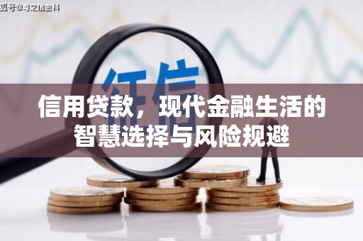 进贤信用贷款，现代金融生活的智慧选择与风险规避