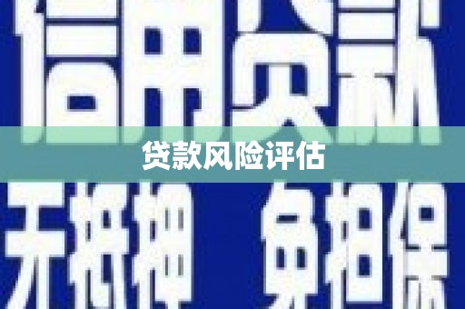 进贤贷款风险评估