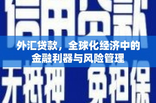 进贤外汇贷款，全球化经济中的金融利器与风险管理