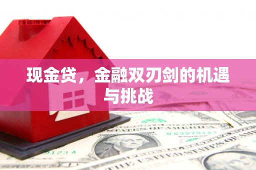 进贤现金贷，金融双刃剑的机遇与挑战
