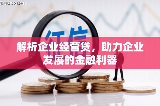 进贤解析企业经营贷，助力企业发展的金融利器