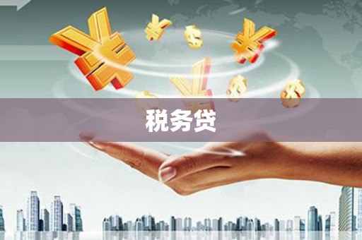 进贤税务贷