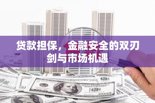进贤贷款担保，金融安全的双刃剑与市场机遇