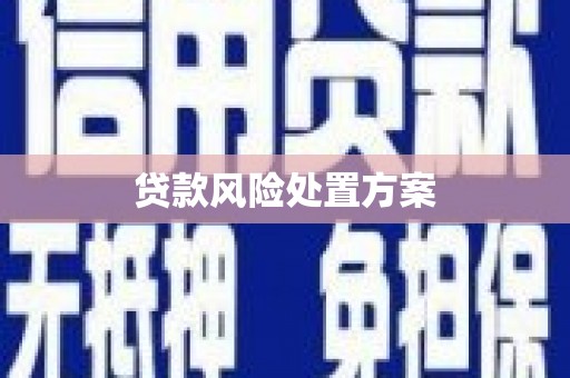 进贤贷款风险处置方案