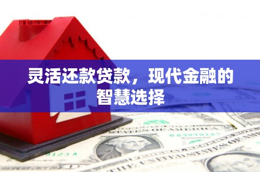 进贤灵活还款贷款，现代金融的智慧选择