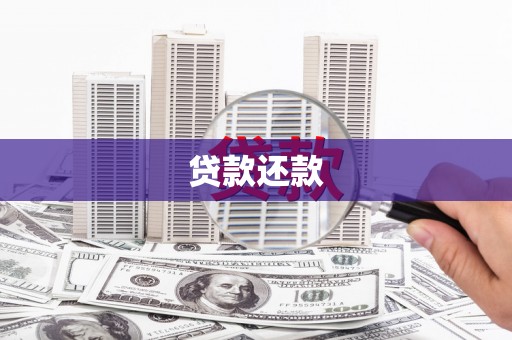 进贤贷款还款
