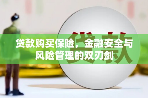 进贤贷款购买保险，金融安全与风险管理的双刃剑