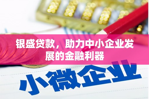 进贤银盛贷款，助力中小企业发展的金融利器