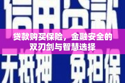 进贤贷款购买保险，金融安全的双刃剑与智慧选择