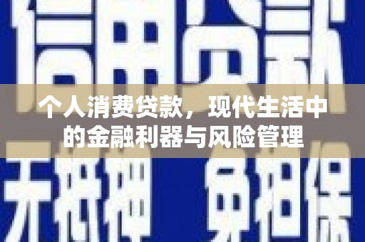进贤个人消费贷款，现代生活中的金融利器与风险管理