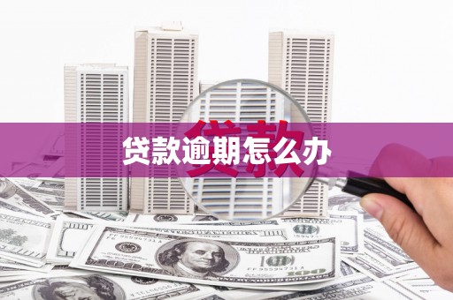 进贤贷款逾期怎么办