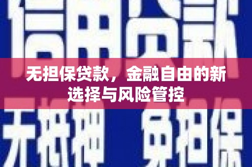 进贤无担保贷款，金融自由的新选择与风险管控
