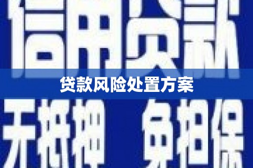 进贤贷款风险处置方案
