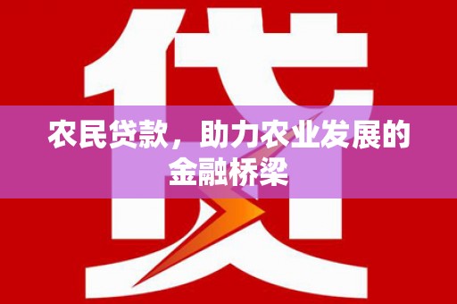 进贤农民贷款，助力农业发展的金融桥梁