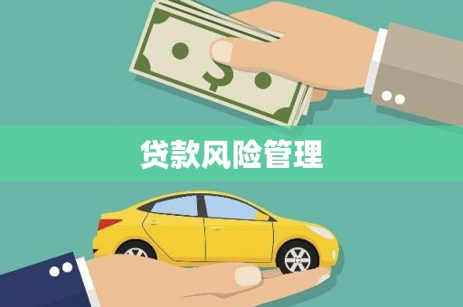 进贤贷款风险管理