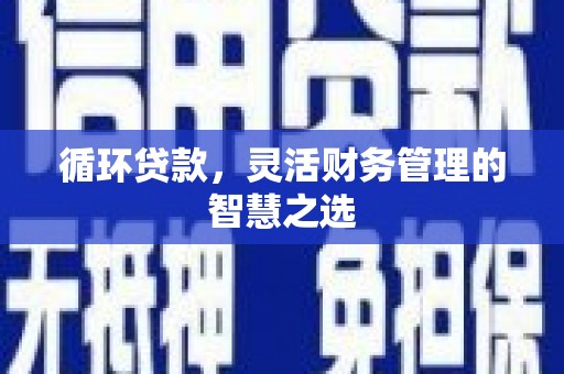 进贤循环贷款，灵活财务管理的智慧之选