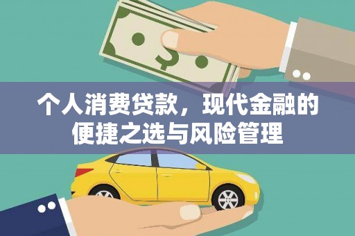 进贤个人消费贷款，现代金融的便捷之选与风险管理