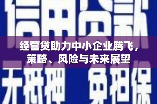 进贤经营贷助力中小企业腾飞，策略、风险与未来展望