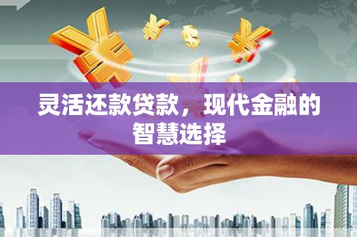 进贤灵活还款贷款，现代金融的智慧选择