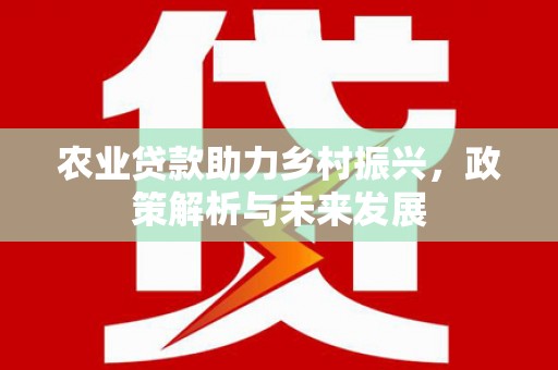 进贤农业贷款助力乡村振兴，政策解析与未来发展