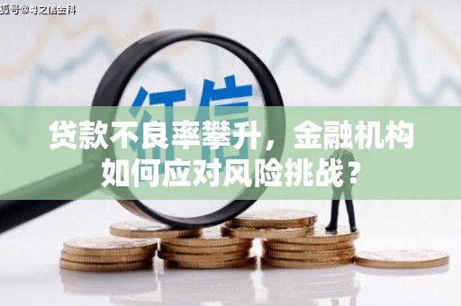 进贤贷款不良率攀升，金融机构如何应对风险挑战？