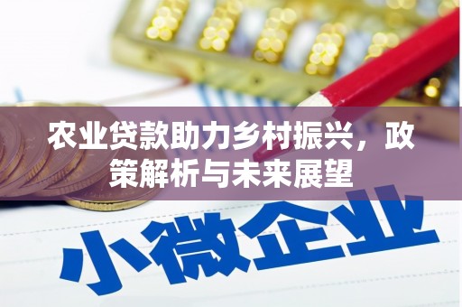 进贤农业贷款助力乡村振兴，政策解析与未来展望