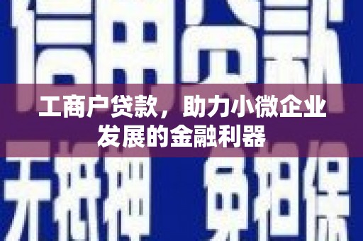进贤工商户贷款，助力小微企业发展的金融利器