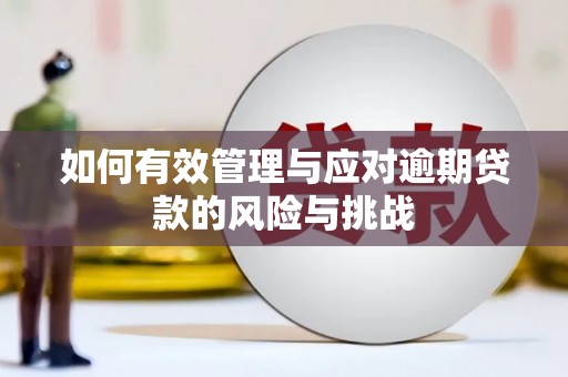 进贤如何有效管理与应对逾期贷款的风险与挑战