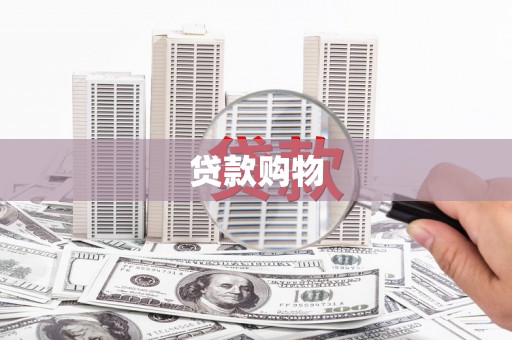 进贤贷款购物