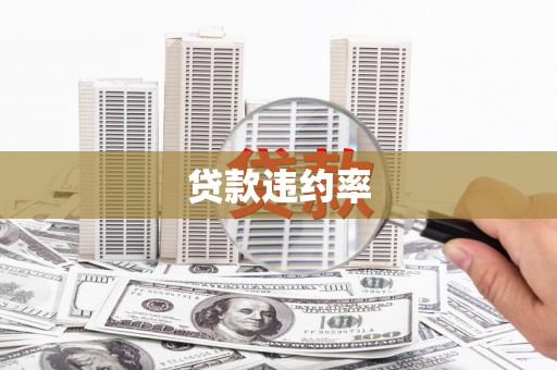进贤贷款违约率