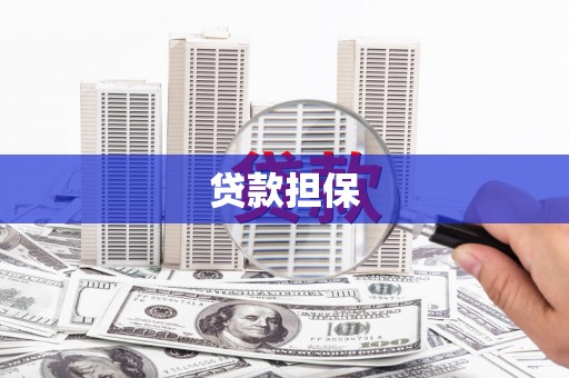 进贤贷款担保