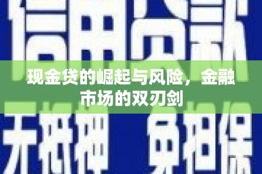进贤现金贷的崛起与风险，金融市场的双刃剑