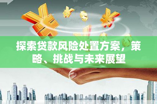 进贤探索贷款风险处置方案，策略、挑战与未来展望