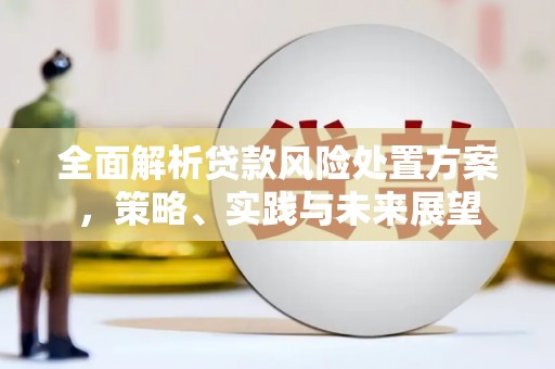 进贤全面解析贷款风险处置方案，策略、实践与未来展望