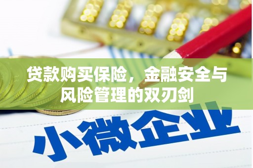 进贤贷款购买保险，金融安全与风险管理的双刃剑