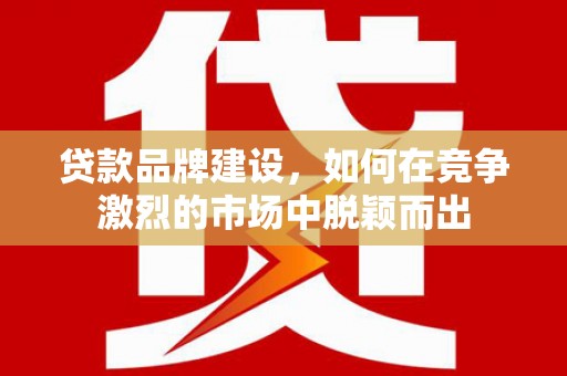 进贤贷款品牌建设，如何在竞争激烈的市场中脱颖而出