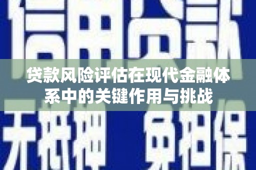 进贤贷款风险评估在现代金融体系中的关键作用与挑战