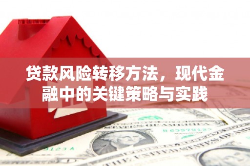 进贤贷款风险转移方法，现代金融中的关键策略与实践